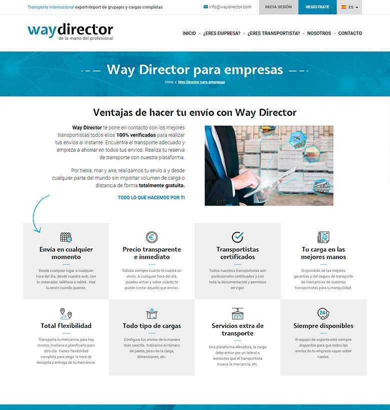Way Director